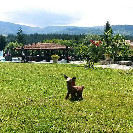 Hotel Apriltsi